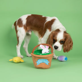 Petshop by Fringe Studio - Dog Toy Egg Hunt