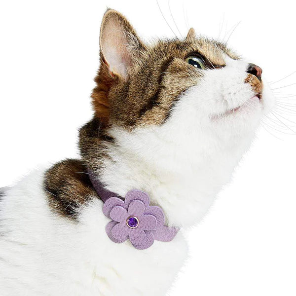 Blueberry Pet - Perfect-fit Glistering PU Leather Cat Collar