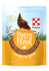 Farm Flock Larvae for Ladies Hens