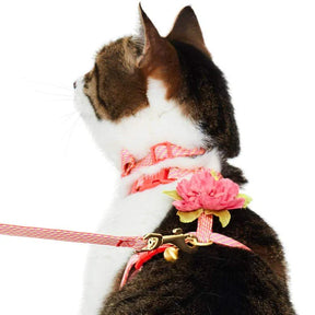 Diagonal Striped Cat Leash & Harness Set