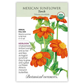 Sunflower Mexican Torch Organic Seeds