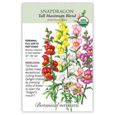 Snapdragon Tall Maximum Organic Seeds