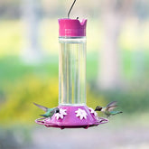 Perky Pet Hummingbird Feeder Best Royal Berry