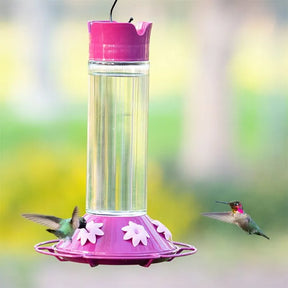 Perky Pet Hummingbird Feeder Best Royal Berry