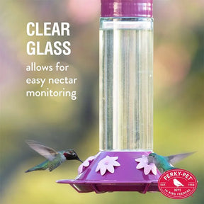 Perky Pet Hummingbird Feeder Best Royal Berry