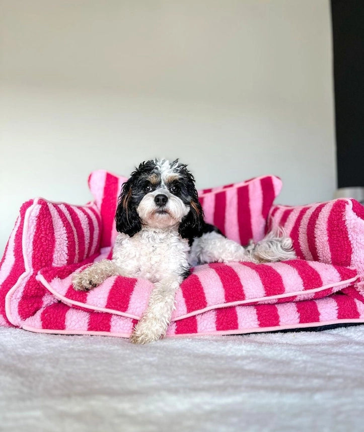 Dog Bed Sofa Striped Pretty Pink