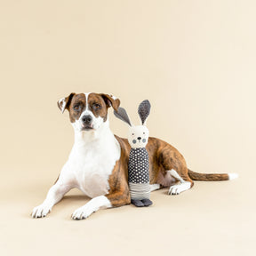 Petshop by Fringe Studio - Dog Toy All Ears