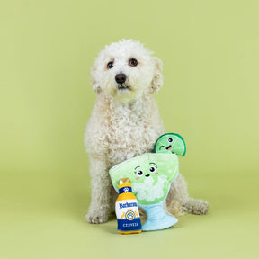 Petshop by Fringe Studio - Dog Toy Drop Me a Lime Hide & Seek