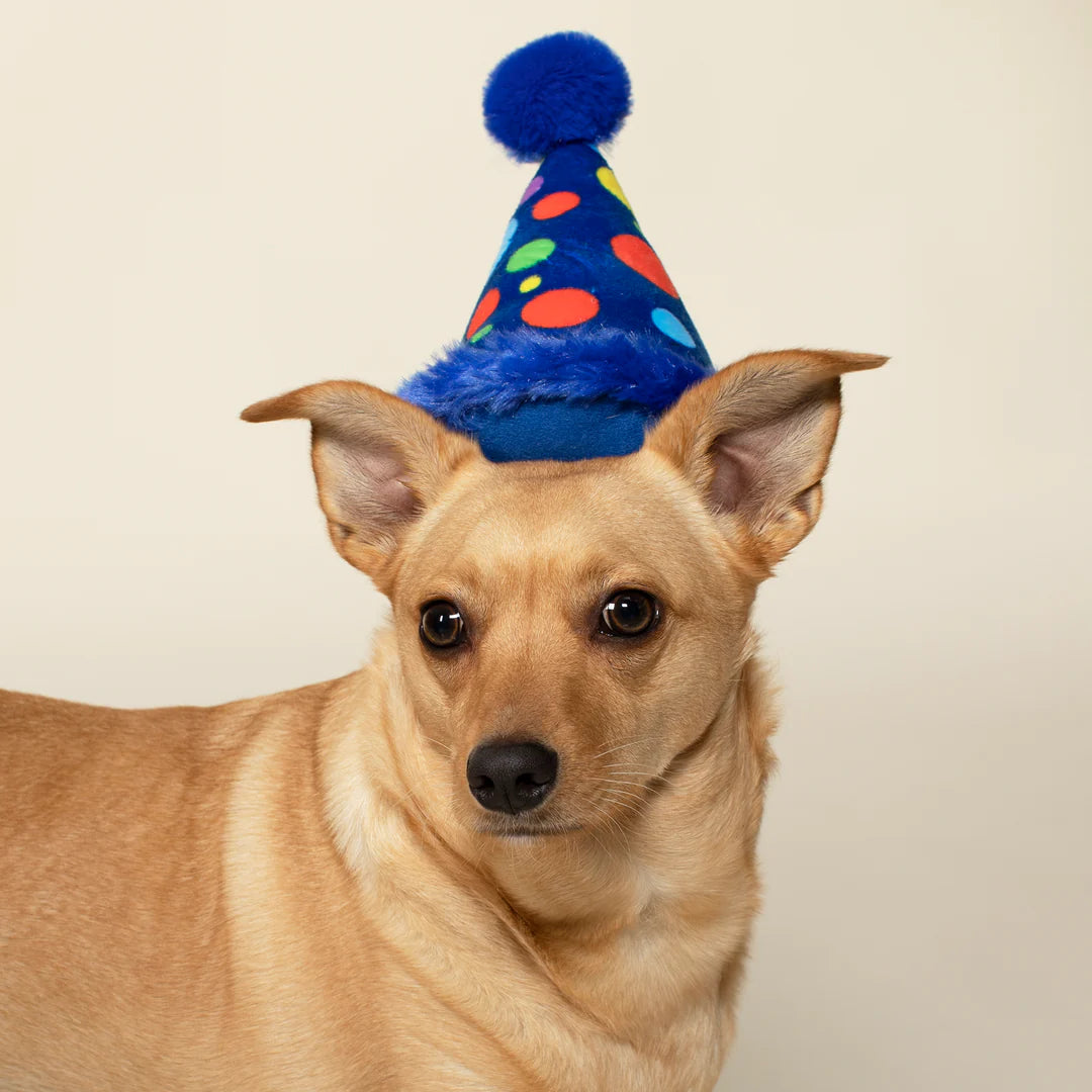 Petshop by Fringe Studio - Dog Toy Plush Party Hat