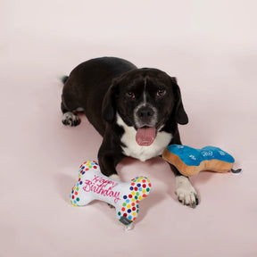 Petshop by Fringe Studio - Birthday Bone Cookies Dog Toy