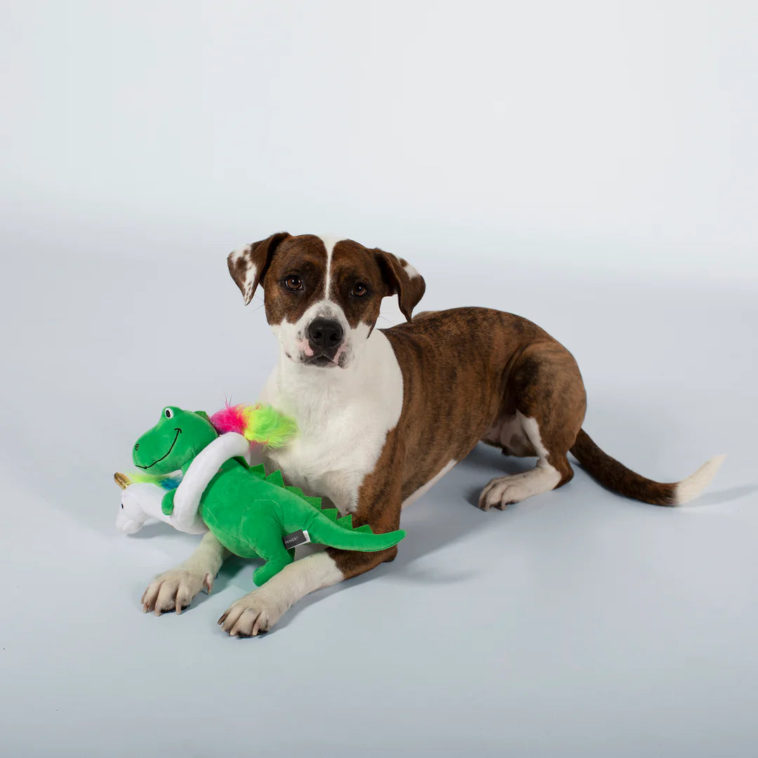 Petshop by Fringe Studio - Summa Time Rex Dog Toy