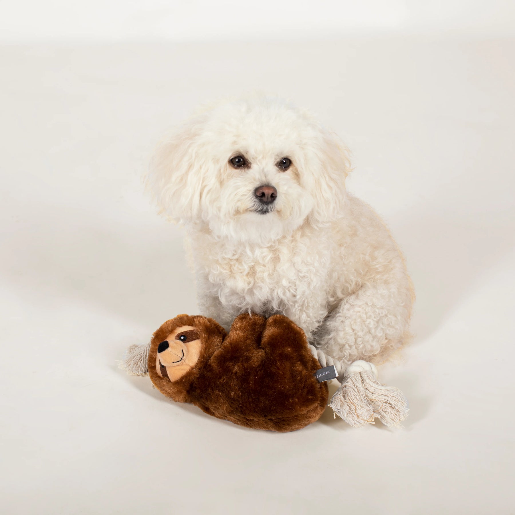 Petshop by Fringe Studio - Dog Toy Brown Sloth