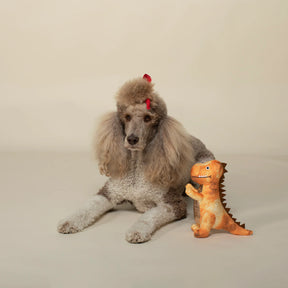 Petshop by Fringe Studio - Dog Toy Chomp, Stomp & Rawr