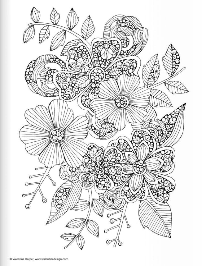 Coloring Book - Botanicals