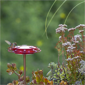 More Birds - 3 in 1 Hummingbird Feeder