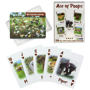 Deck of Cards Ace of Poops