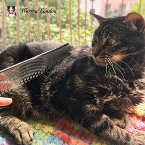 Warren London - Carding Cat Comb