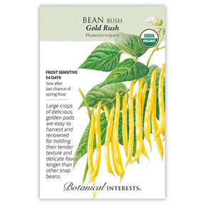 Bean Bush (Yellow) Gold Rush Seeds