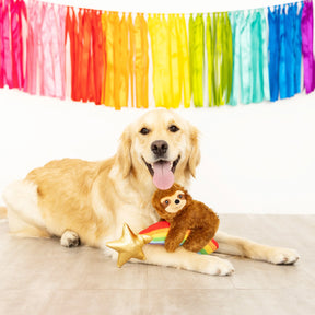 Petshop by Fringe Studio - Dog Toy Rainbow High Plush