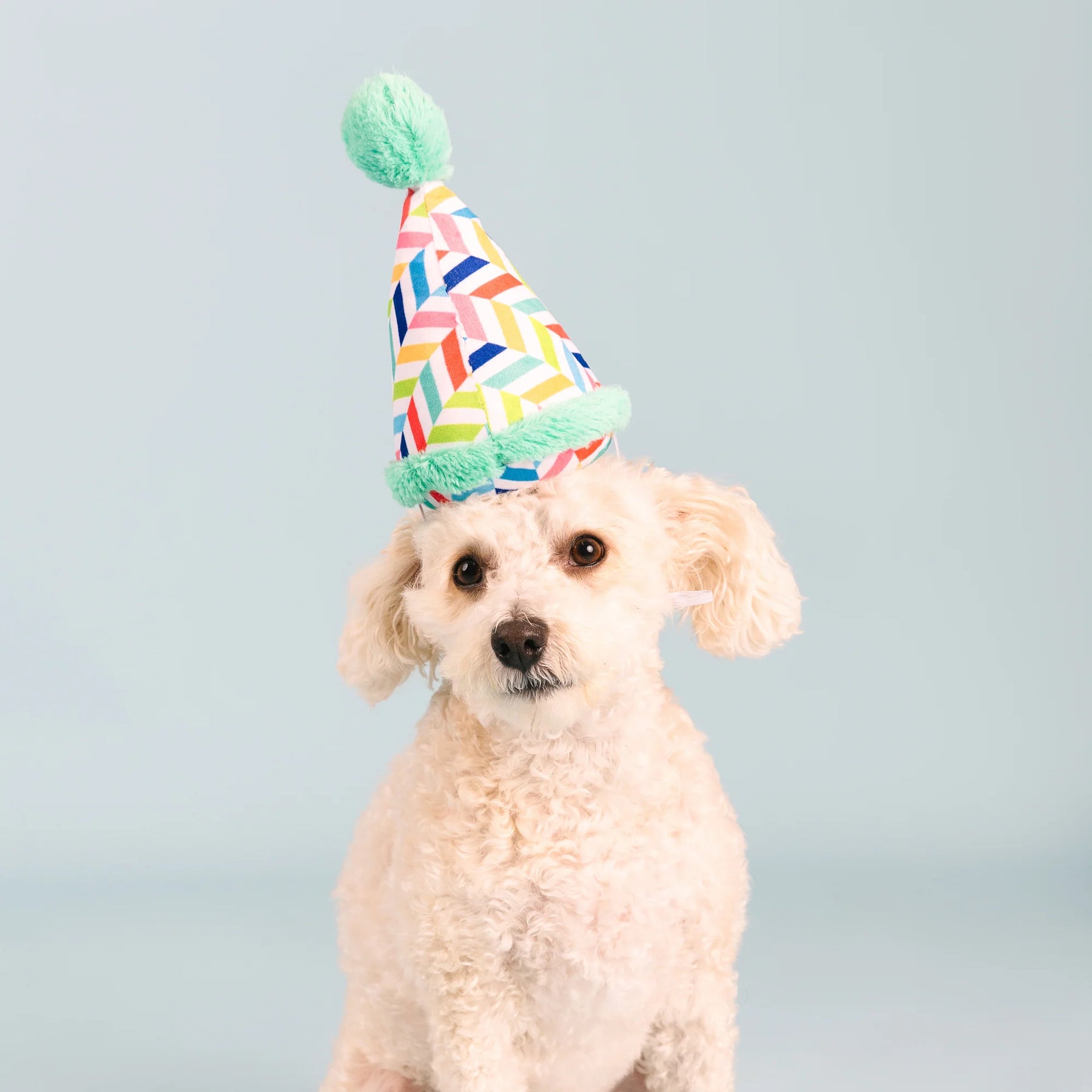 Petshop by Fringe Studio - Dog Toy Cheers for a Barkday