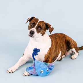 Petshop by Fringe Studio - Dog Toy Do the Right String