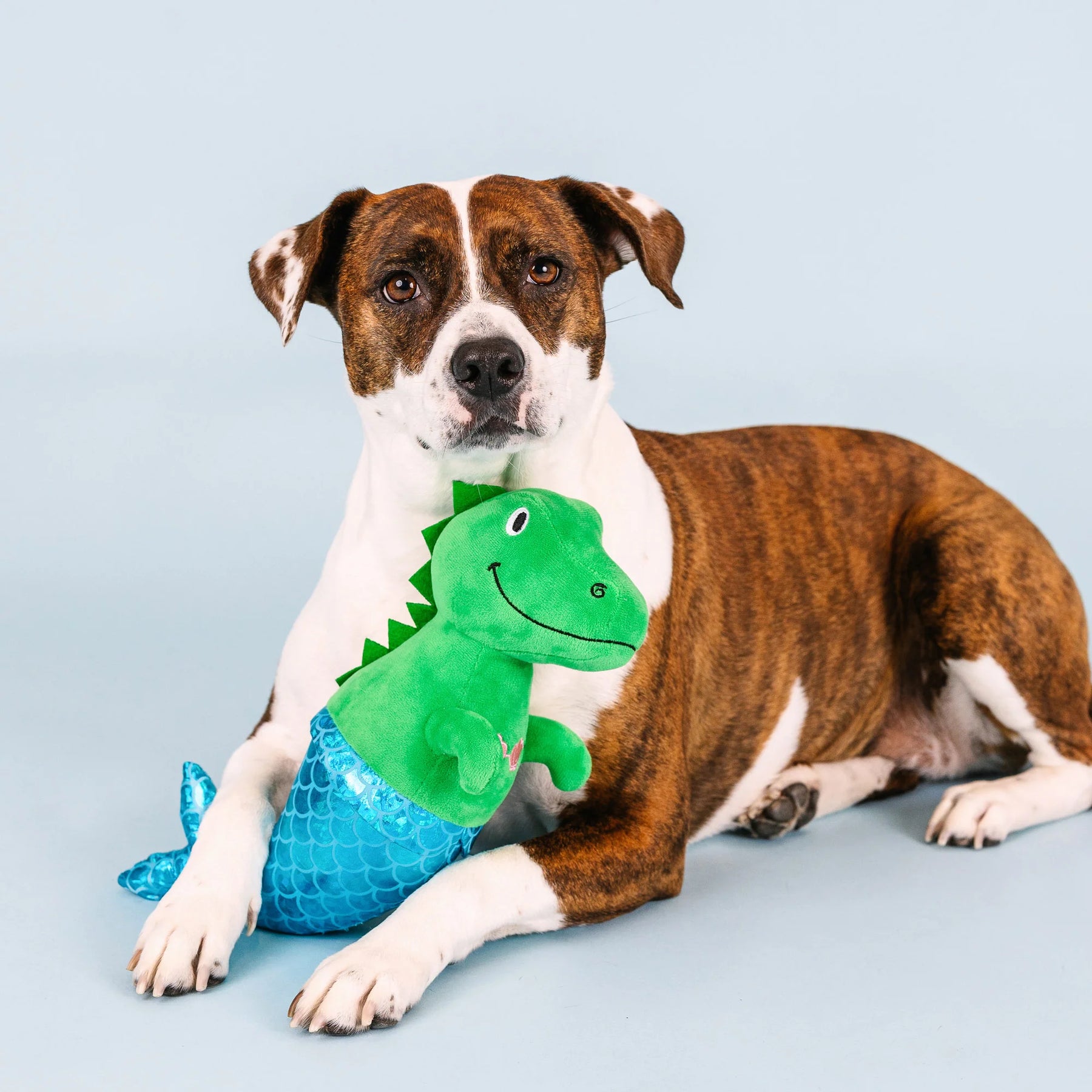 Petshop by Fringe Studio - Dog Toy MER-REX Plush