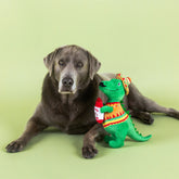 Petshop by Fringe Studio - Dog Toy Fiesta Saurus