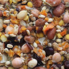 Worldly Cuisine - Inca Bean Salad Bird Food