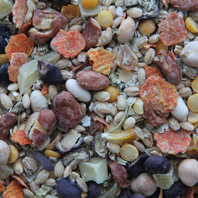 Worldly Cuisine - Inca Bean Salad Bird Food