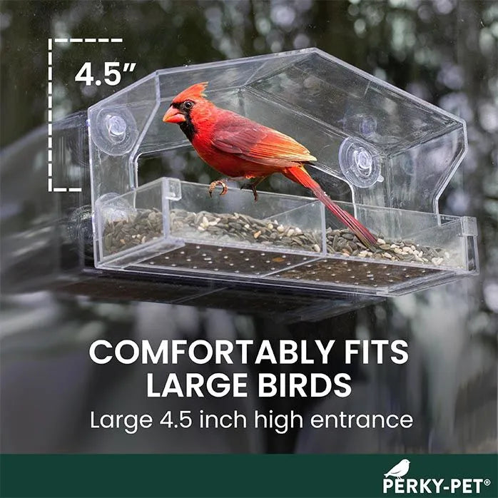 Perky Pet Feeder for Window Large