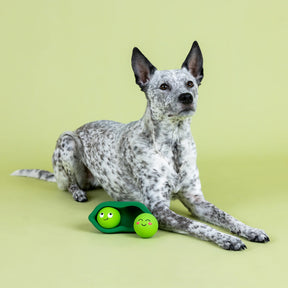 Petshop by Fringe Studio - Dog Toy We Come in Peas