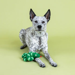 Petshop by Fringe Studio - Dog Toy Knotty By Nature