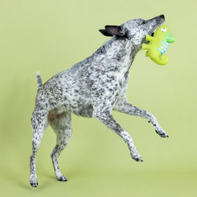 Petshop by Fringe Studio - One in a Cha-Million Latex Dog Toy