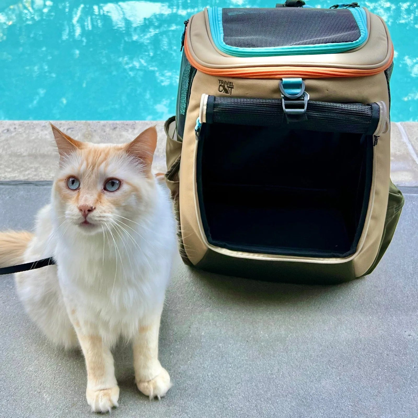 Cat Backpack The Navigator Convertible