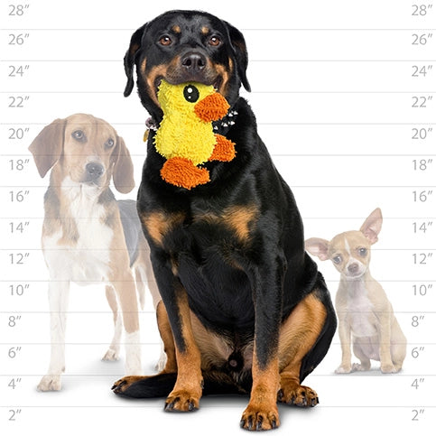 Mighty Microfiber Ball Medium Duck Squeaky Durable Toy