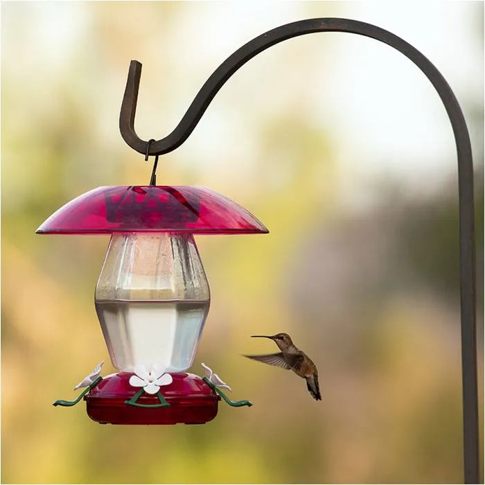 More Birds - Jubilee Hummingbird Feeder