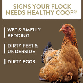 FlockLeader Healthy Coop for Chickens