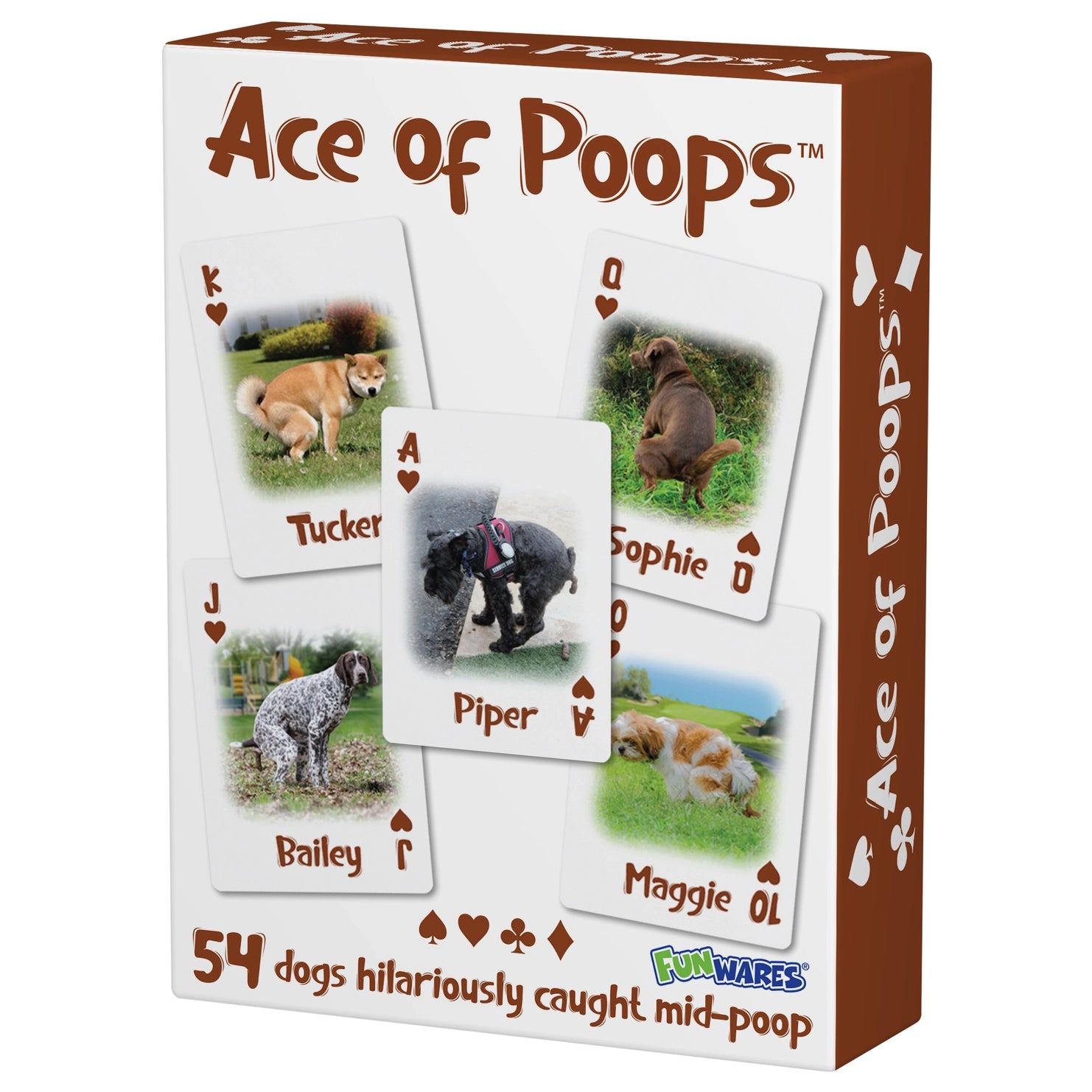 Deck of Cards Ace of Poops