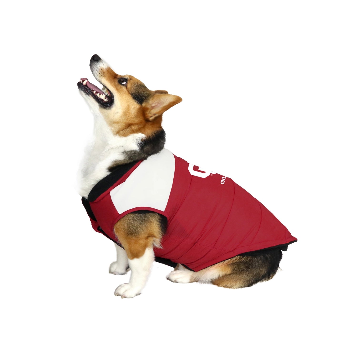 University of Oklahoma Pet Parka