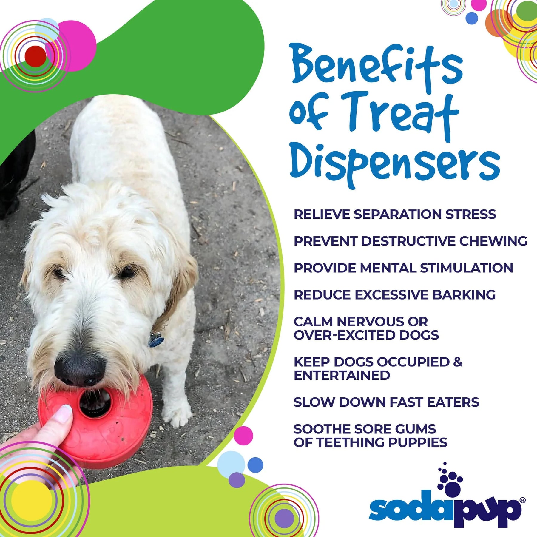 Life Saver Treat Dispenser Dog Toy