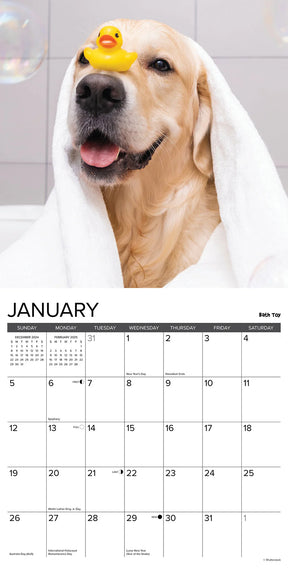 2025 12 Uses For A Golden Calendar