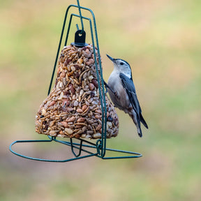 Bugs, Nuts, & Fruit Bell