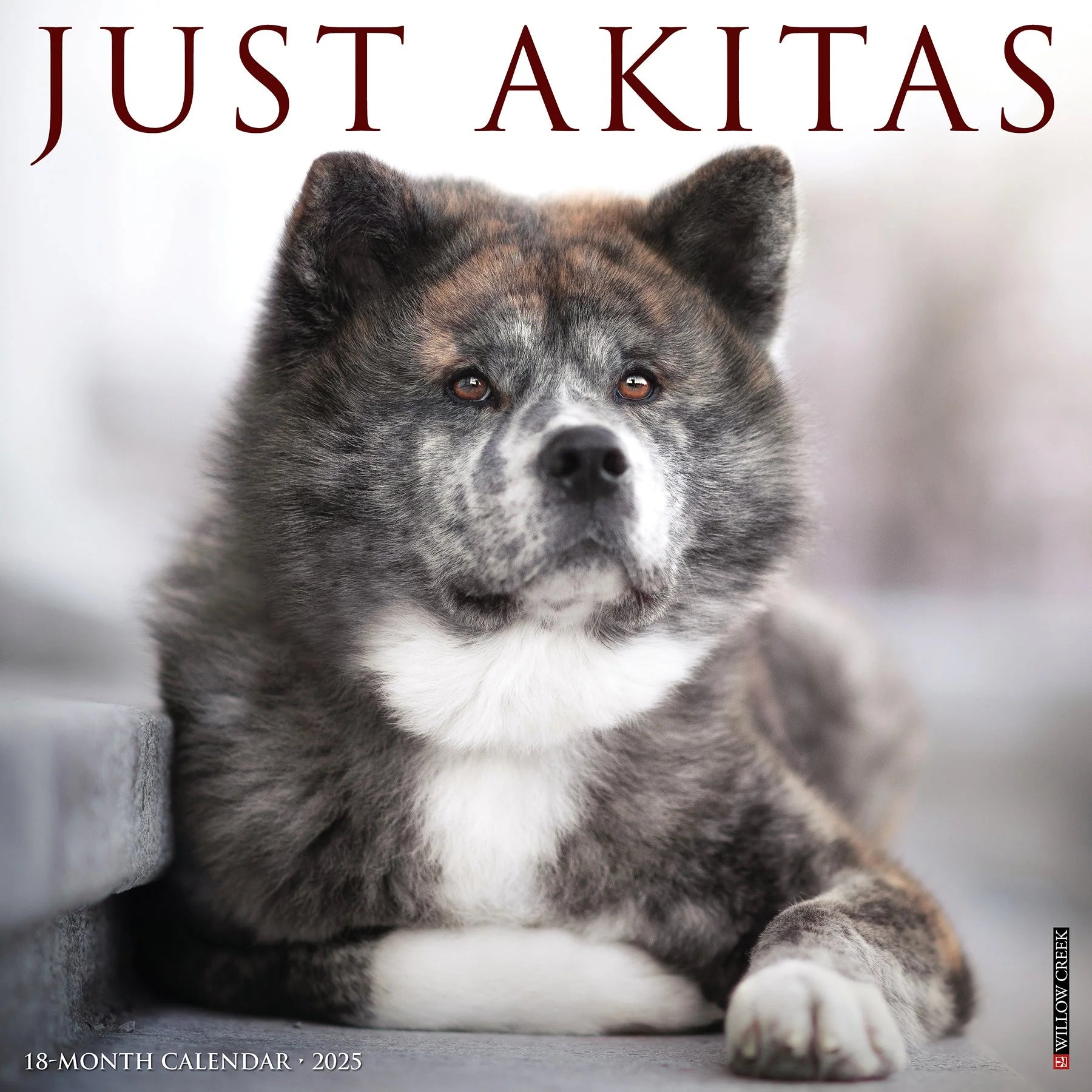 2025 Akitas Calendar