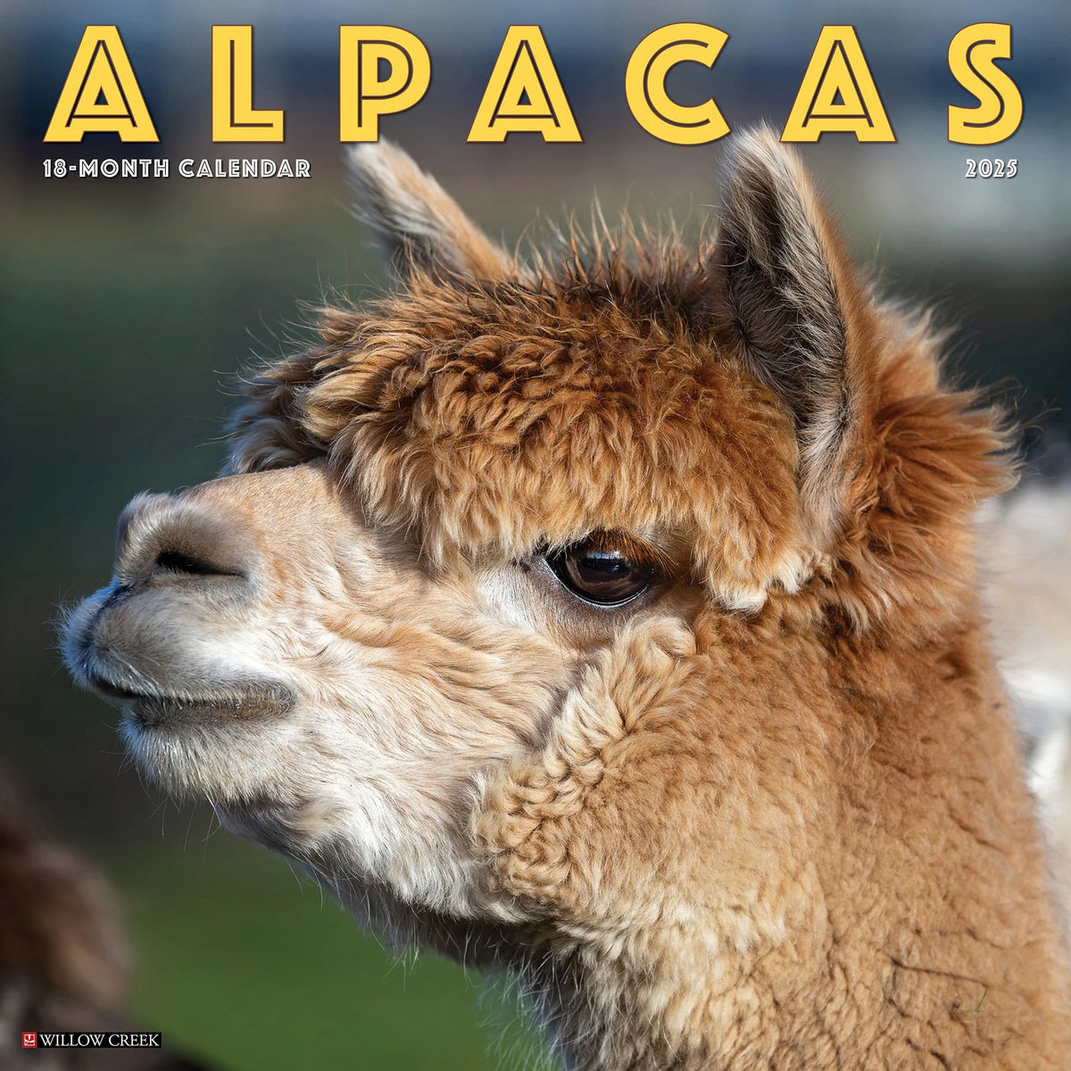 2025 Alpacas Calendar