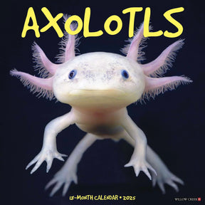 2025 Axolotls Calendar