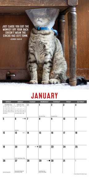 2025 Bad Kitties Calendar