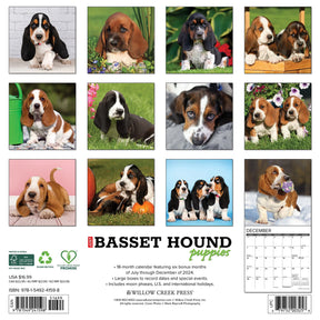 2025 Basset Hound Puppies Calendar