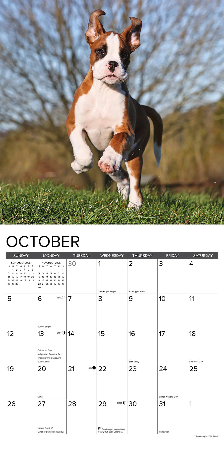 2025 Boxer Puppies Calendar