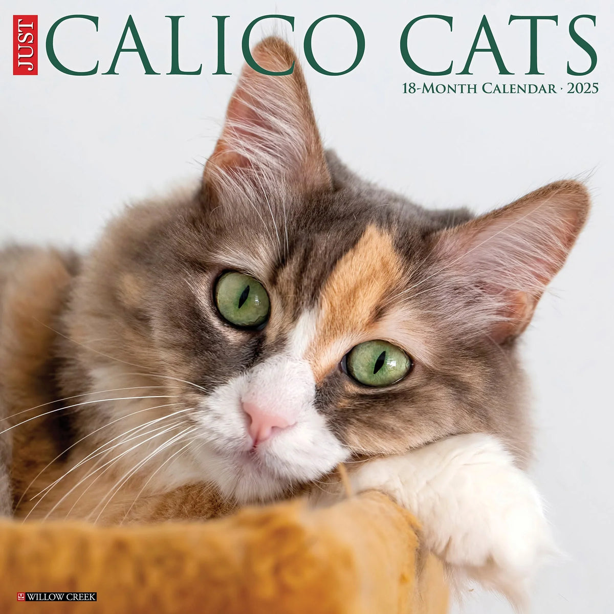 2025 Calico Cats Calendar