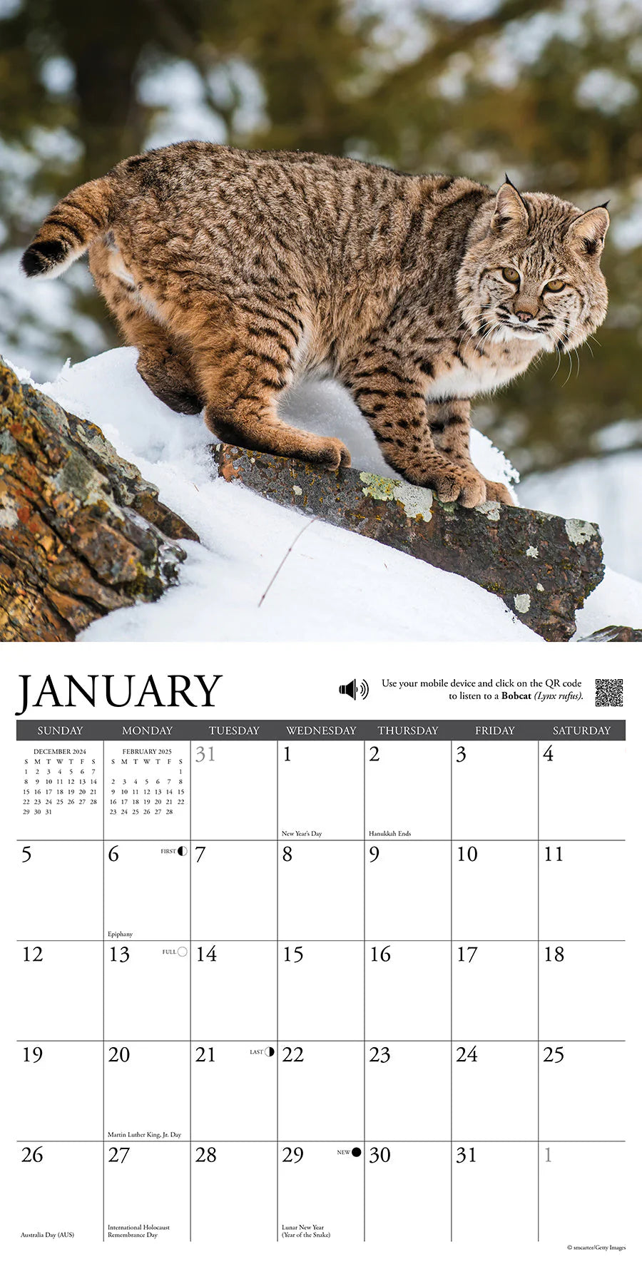 2025 Call Of The Wild Calendar